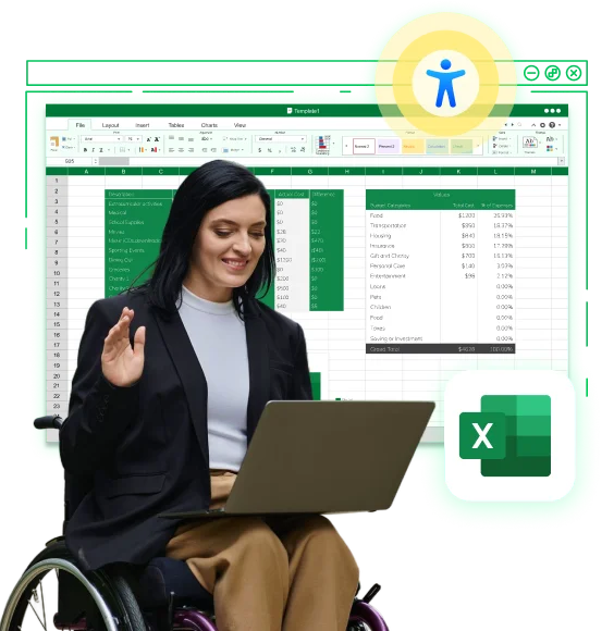 Excel Accessibility Services